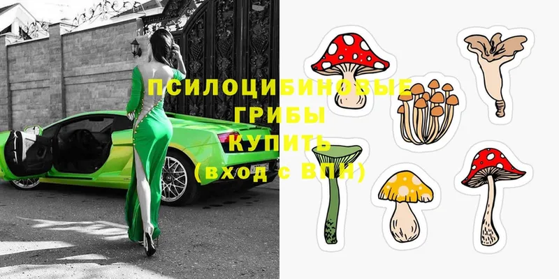 Псилоцибиновые грибы MAGIC MUSHROOMS Жердевка